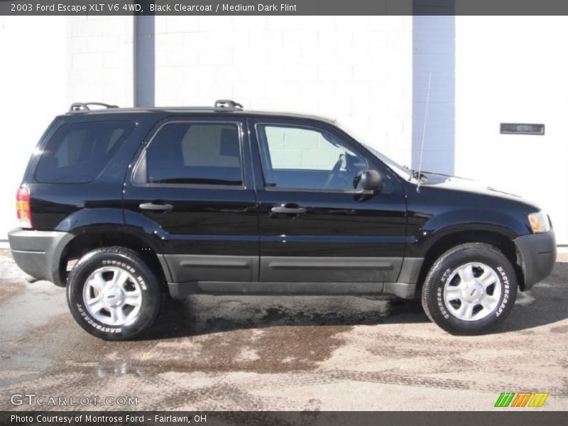 Black Clearcoat / Medium Dark Flint 2003 Ford Escape XLT V6 4WD