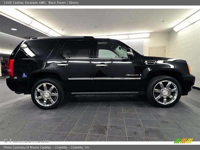 Black Raven / Ebony 2008 Cadillac Escalade AWD