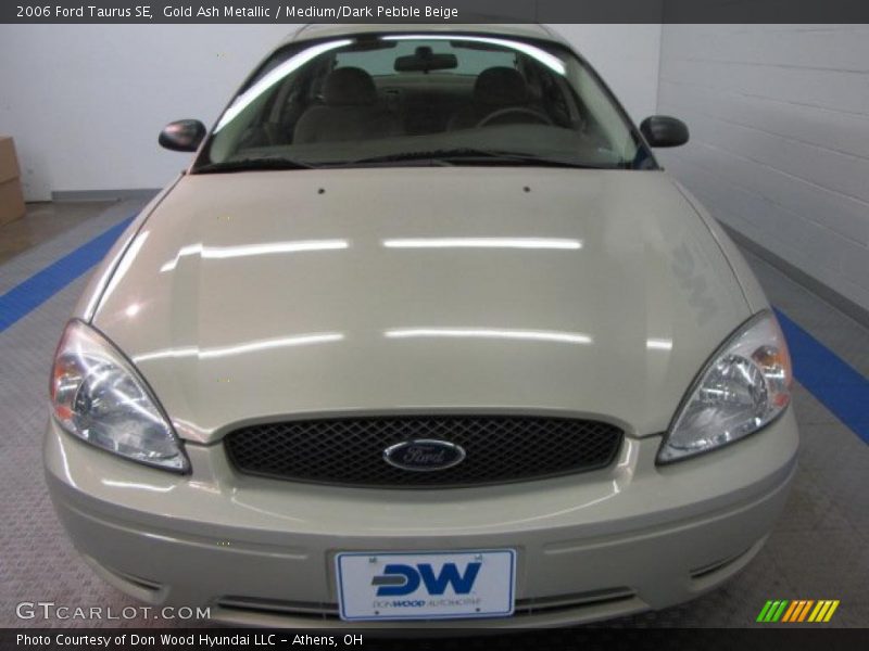 Gold Ash Metallic / Medium/Dark Pebble Beige 2006 Ford Taurus SE