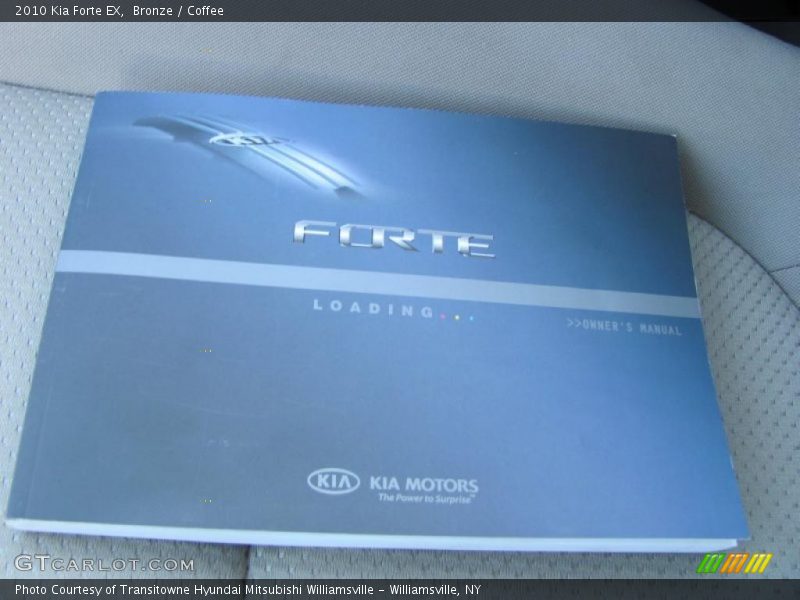 Bronze / Coffee 2010 Kia Forte EX