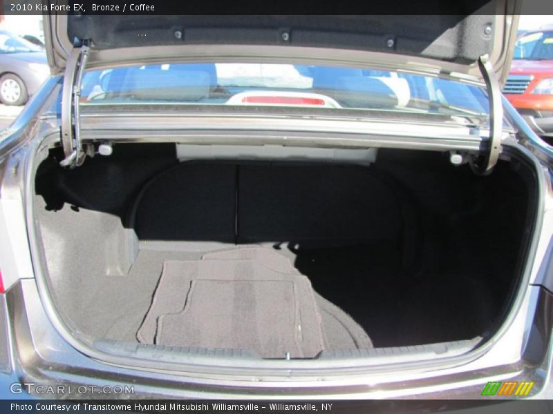 Bronze / Coffee 2010 Kia Forte EX