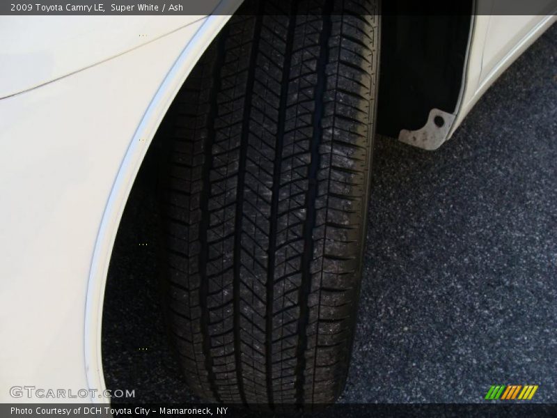 Super White / Ash 2009 Toyota Camry LE