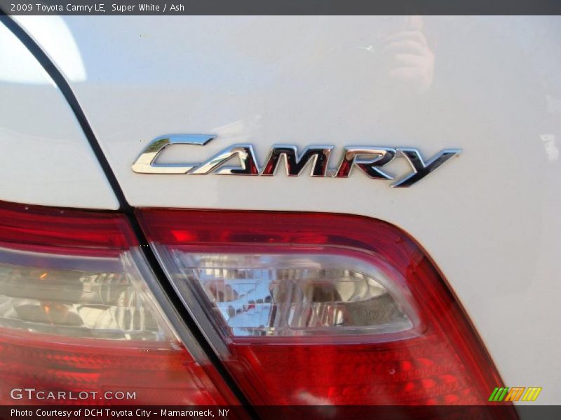 Super White / Ash 2009 Toyota Camry LE