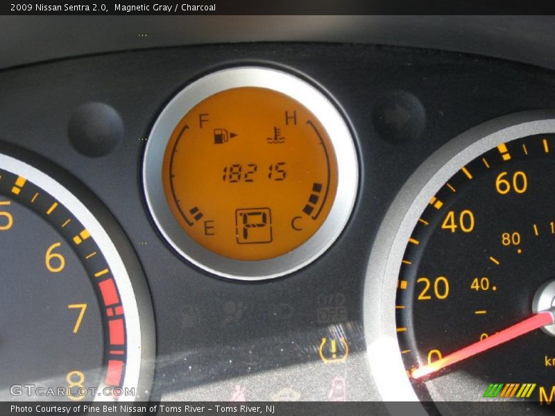 Magnetic Gray / Charcoal 2009 Nissan Sentra 2.0