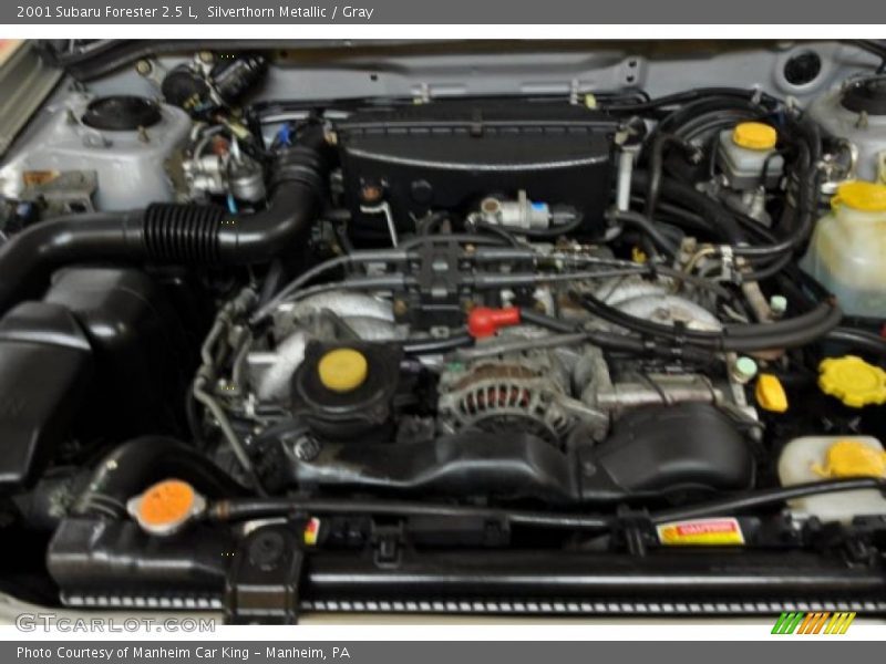 Silverthorn Metallic / Gray 2001 Subaru Forester 2.5 L
