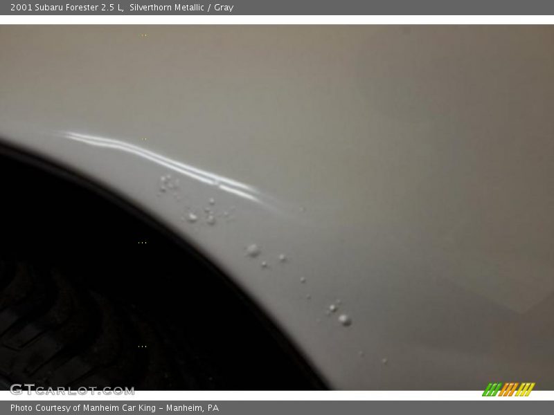 Silverthorn Metallic / Gray 2001 Subaru Forester 2.5 L