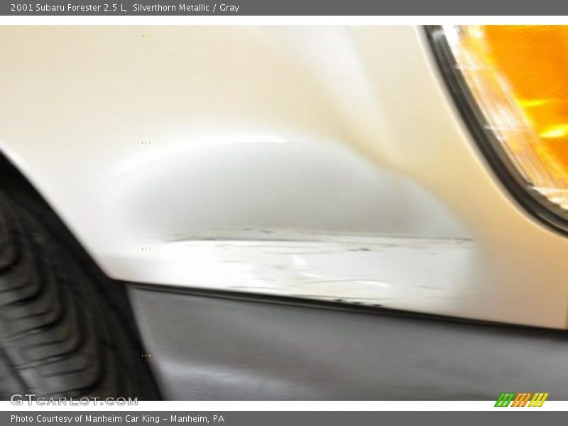 Silverthorn Metallic / Gray 2001 Subaru Forester 2.5 L