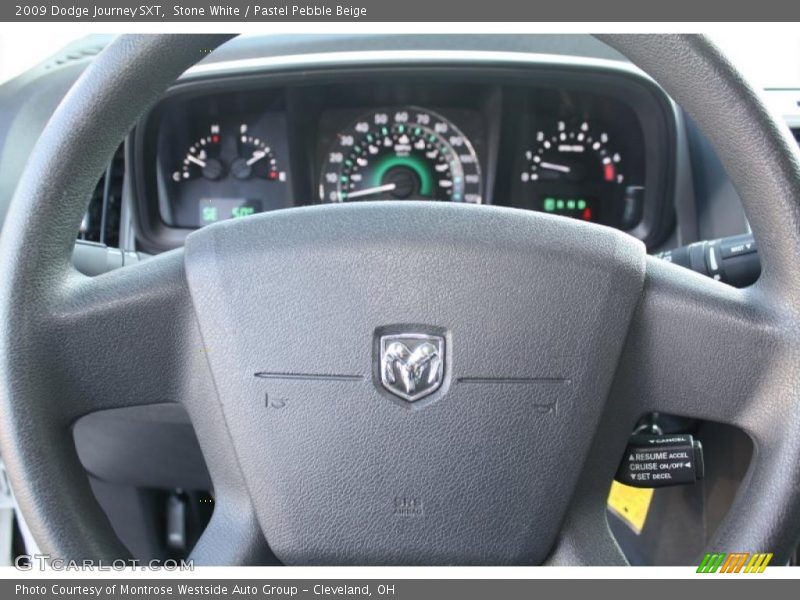 Stone White / Pastel Pebble Beige 2009 Dodge Journey SXT