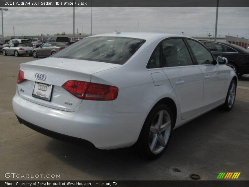 Ibis White / Black 2011 Audi A4 2.0T Sedan