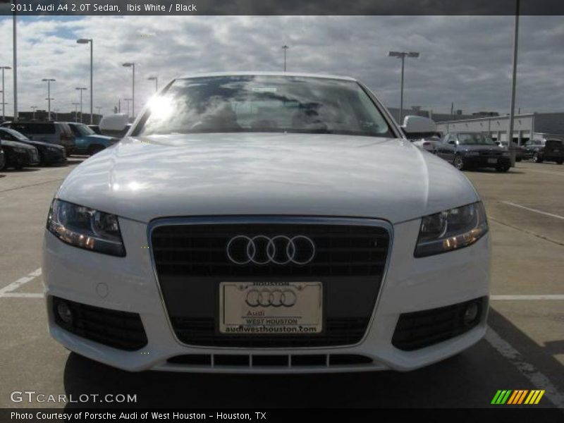 Ibis White / Black 2011 Audi A4 2.0T Sedan