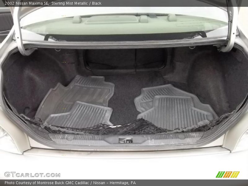 Sterling Mist Metallic / Black 2002 Nissan Maxima SE