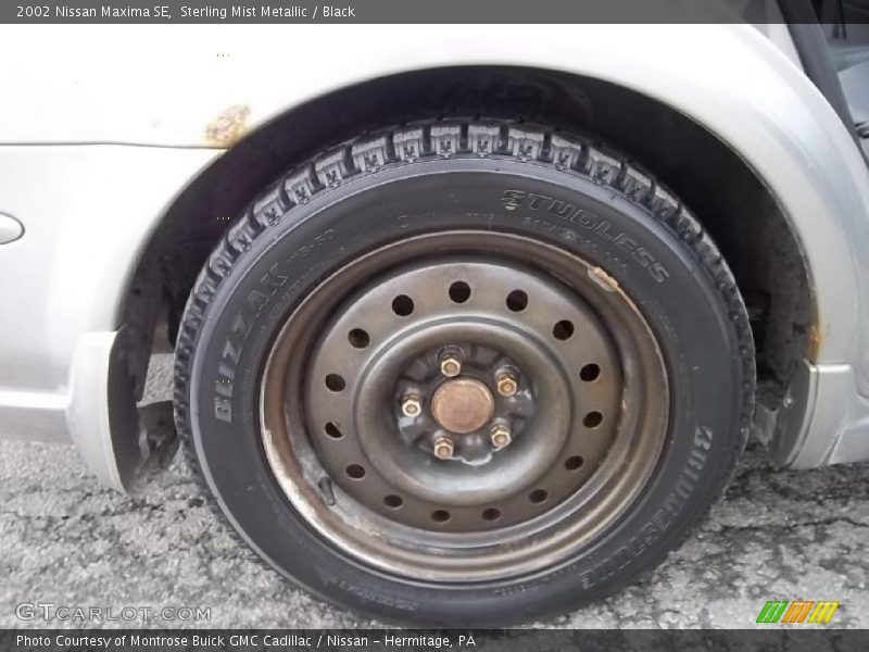 Sterling Mist Metallic / Black 2002 Nissan Maxima SE