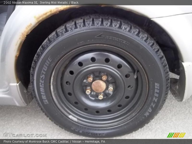 Sterling Mist Metallic / Black 2002 Nissan Maxima SE