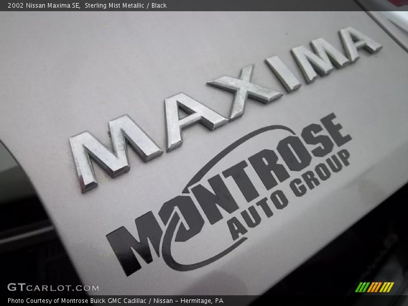 Sterling Mist Metallic / Black 2002 Nissan Maxima SE