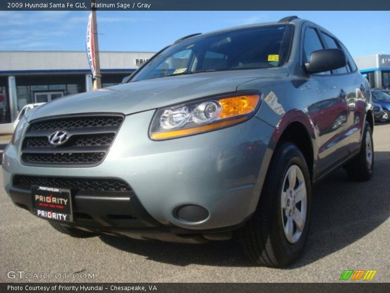 Platinum Sage / Gray 2009 Hyundai Santa Fe GLS