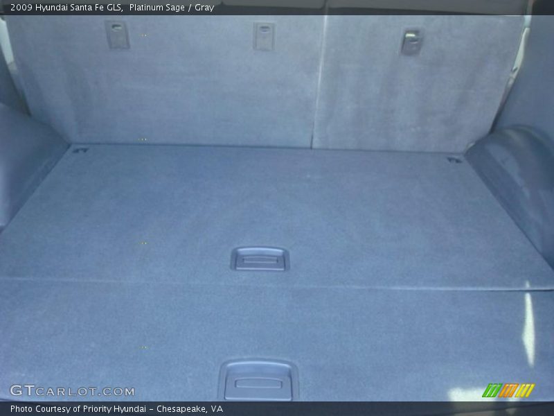 Platinum Sage / Gray 2009 Hyundai Santa Fe GLS