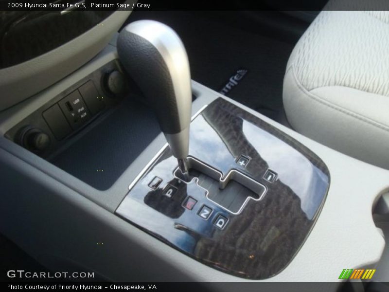 Platinum Sage / Gray 2009 Hyundai Santa Fe GLS