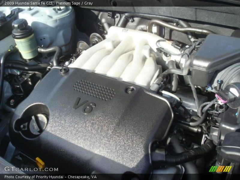 Platinum Sage / Gray 2009 Hyundai Santa Fe GLS