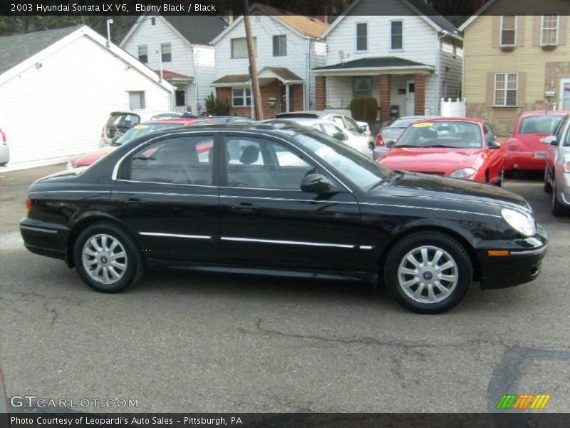 Ebony Black / Black 2003 Hyundai Sonata LX V6