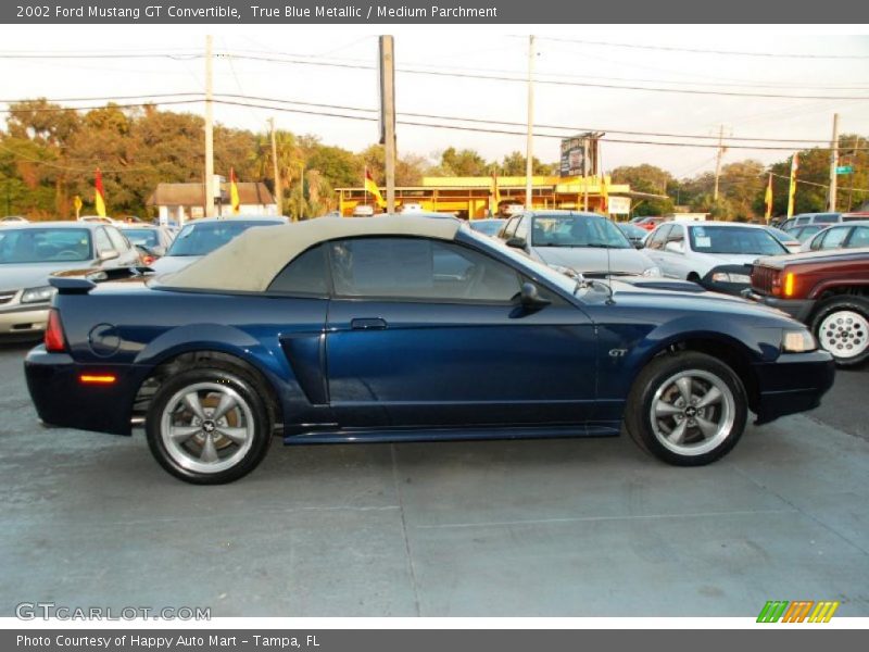 True Blue Metallic / Medium Parchment 2002 Ford Mustang GT Convertible