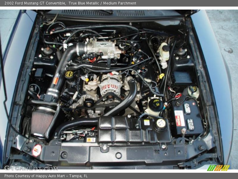  2002 Mustang GT Convertible Engine - 4.6 Liter SOHC 16-Valve V8