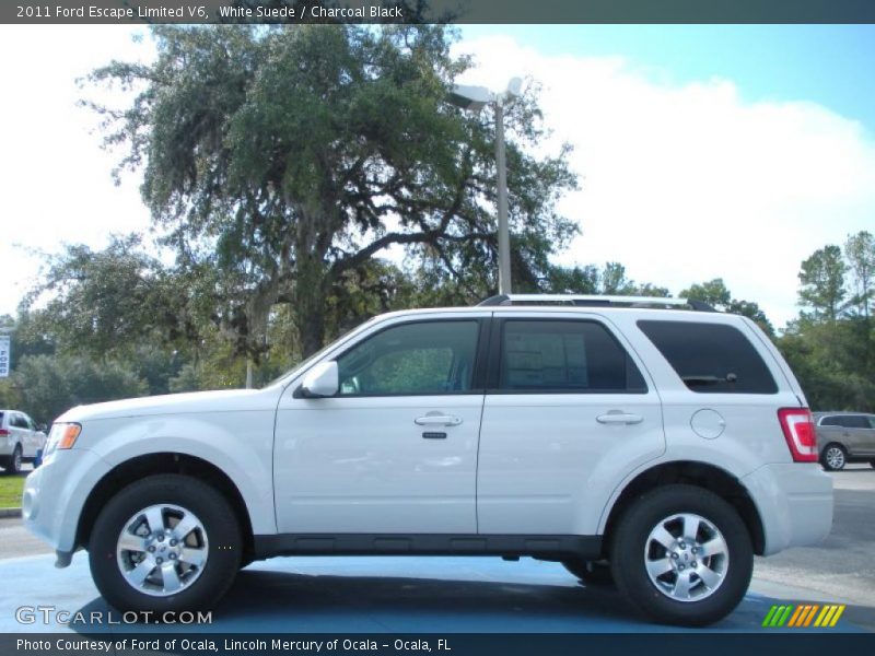 White Suede / Charcoal Black 2011 Ford Escape Limited V6