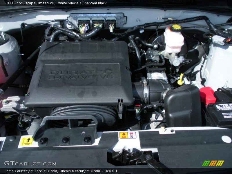 White Suede / Charcoal Black 2011 Ford Escape Limited V6