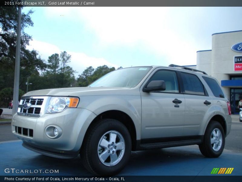 Gold Leaf Metallic / Camel 2011 Ford Escape XLT
