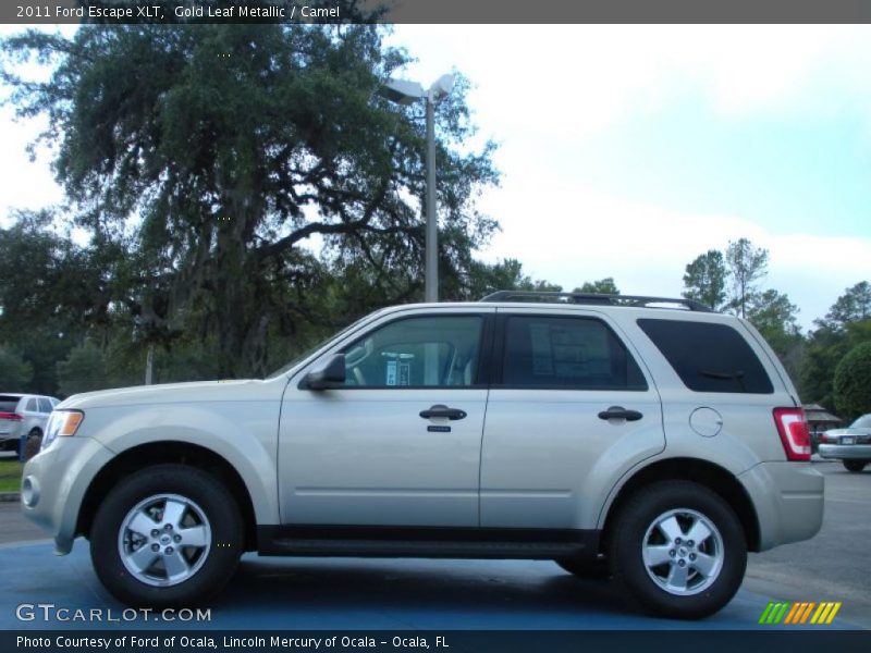 Gold Leaf Metallic / Camel 2011 Ford Escape XLT