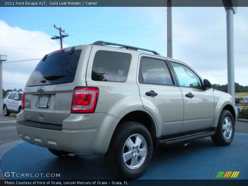Gold Leaf Metallic / Camel 2011 Ford Escape XLT