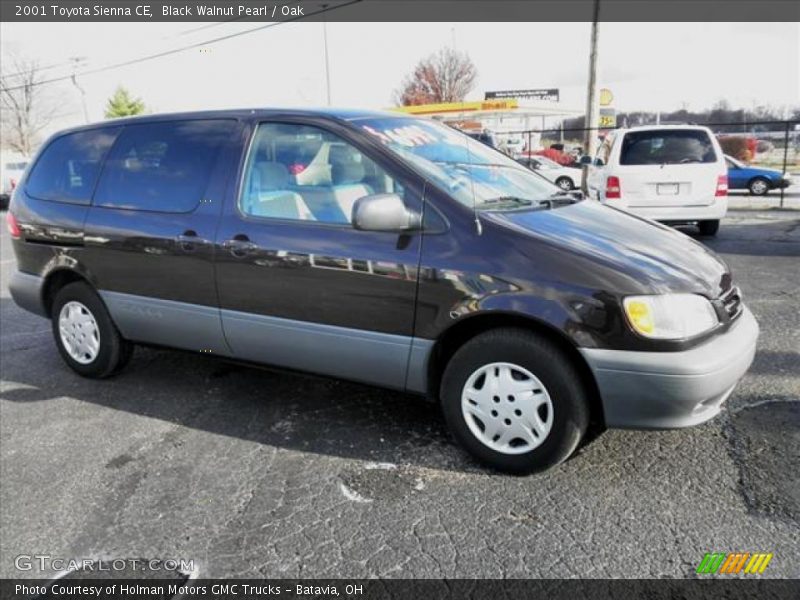 Black Walnut Pearl / Oak 2001 Toyota Sienna CE