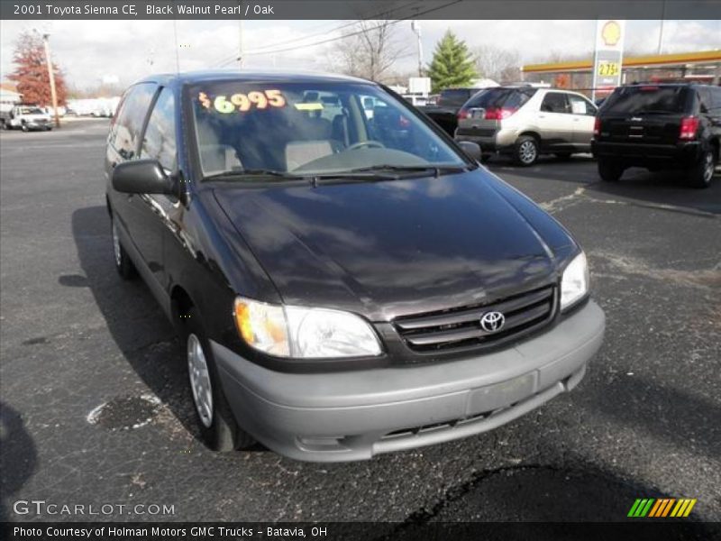 Black Walnut Pearl / Oak 2001 Toyota Sienna CE