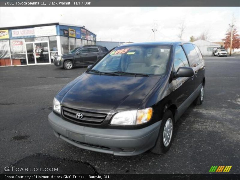Black Walnut Pearl / Oak 2001 Toyota Sienna CE
