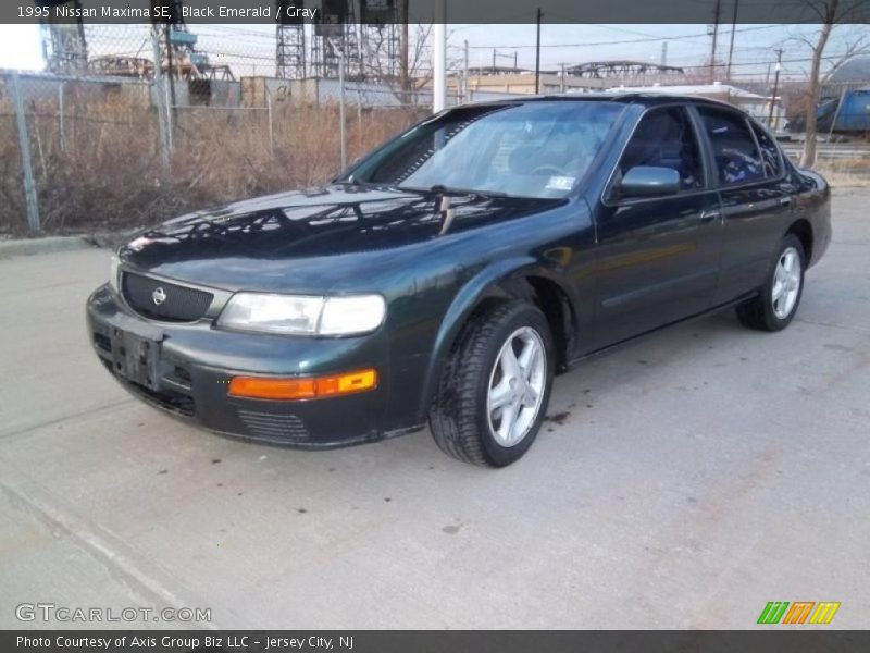 Black Emerald / Gray 1995 Nissan Maxima SE
