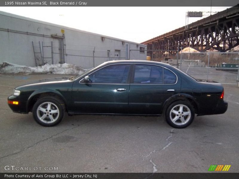 Black Emerald / Gray 1995 Nissan Maxima SE