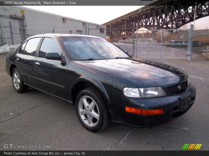 Black Emerald / Gray 1995 Nissan Maxima SE