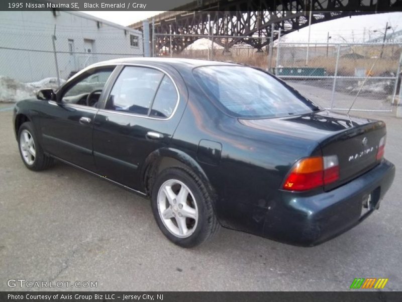 Black Emerald / Gray 1995 Nissan Maxima SE