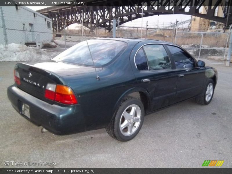 Black Emerald / Gray 1995 Nissan Maxima SE