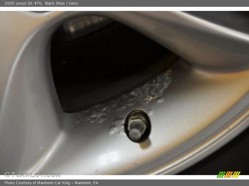 Black Onyx / Ivory 2005 Lexus GX 470