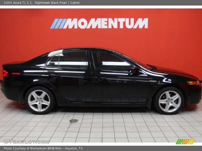 Nighthawk Black Pearl / Camel 2004 Acura TL 3.2