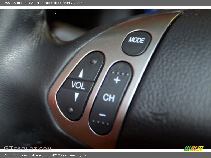 Nighthawk Black Pearl / Camel 2004 Acura TL 3.2