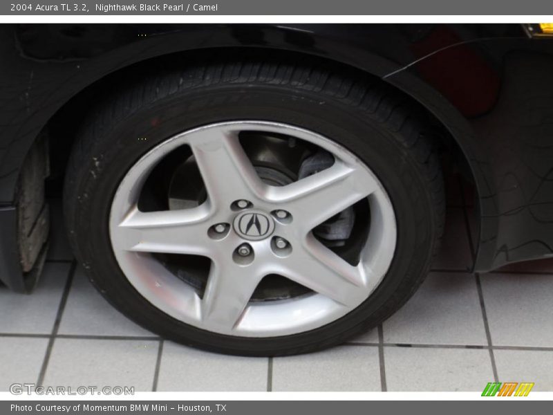 Nighthawk Black Pearl / Camel 2004 Acura TL 3.2