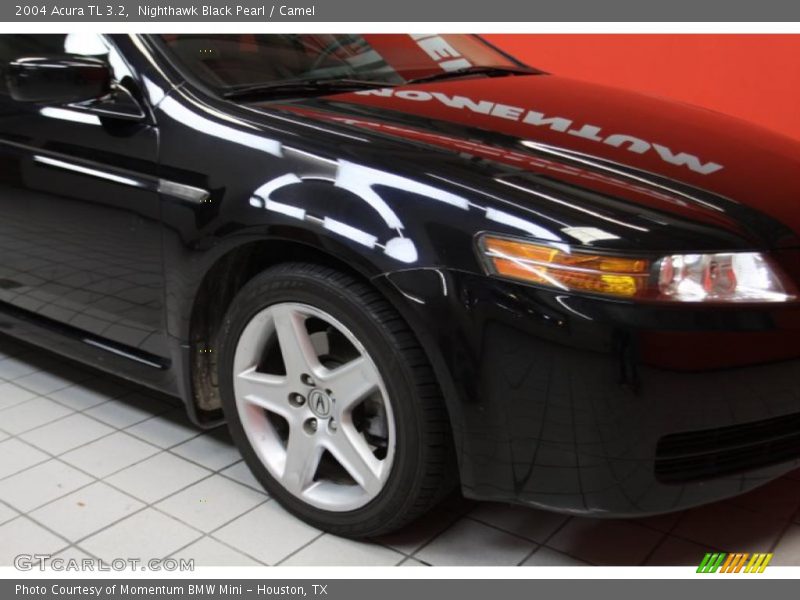Nighthawk Black Pearl / Camel 2004 Acura TL 3.2