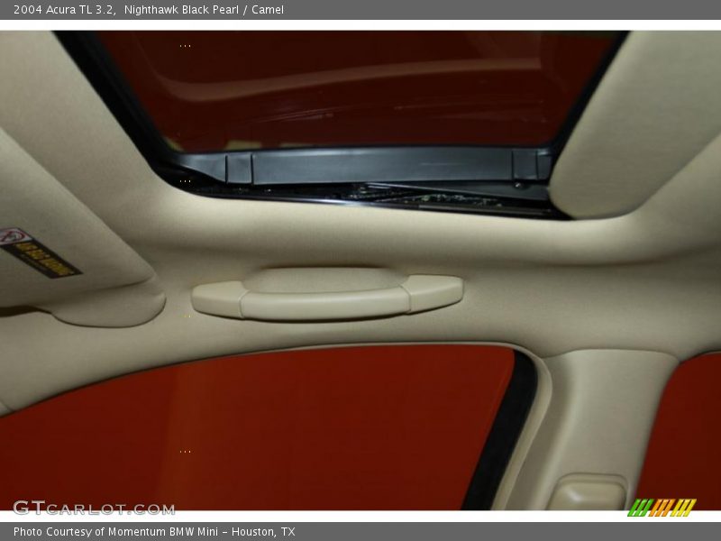 Nighthawk Black Pearl / Camel 2004 Acura TL 3.2