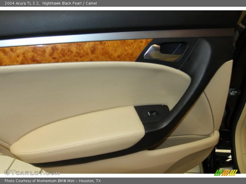 Nighthawk Black Pearl / Camel 2004 Acura TL 3.2