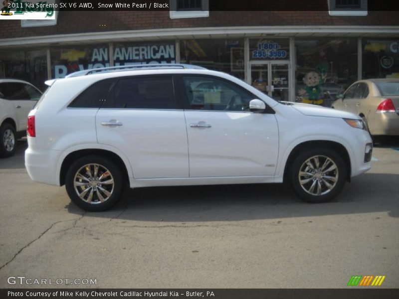 Snow White Pearl / Black 2011 Kia Sorento SX V6 AWD
