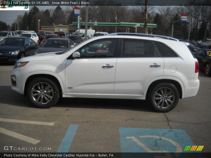 Snow White Pearl / Black 2011 Kia Sorento SX V6 AWD