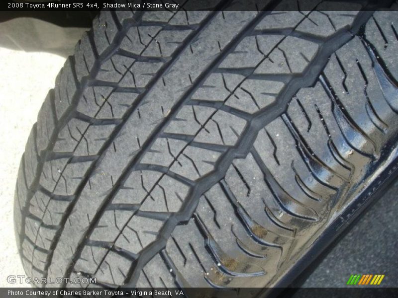 Shadow Mica / Stone Gray 2008 Toyota 4Runner SR5 4x4