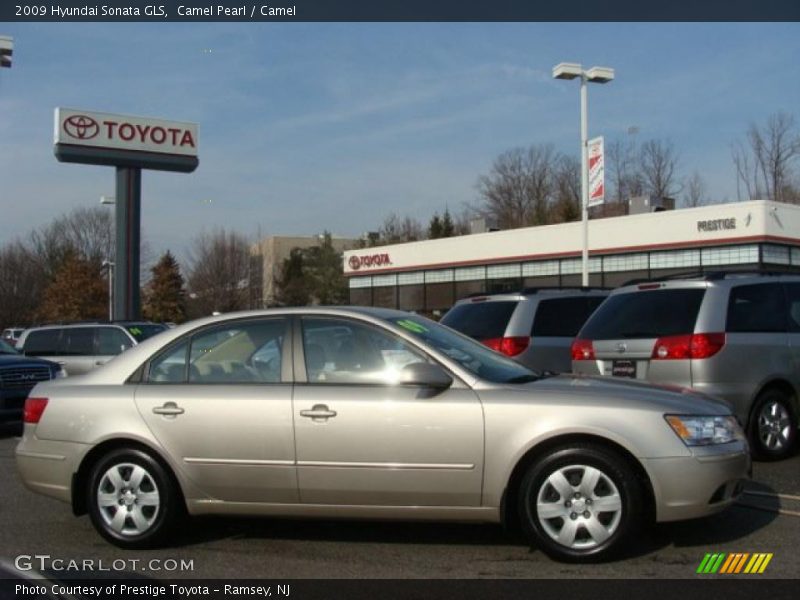 Camel Pearl / Camel 2009 Hyundai Sonata GLS