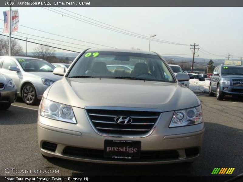 Camel Pearl / Camel 2009 Hyundai Sonata GLS